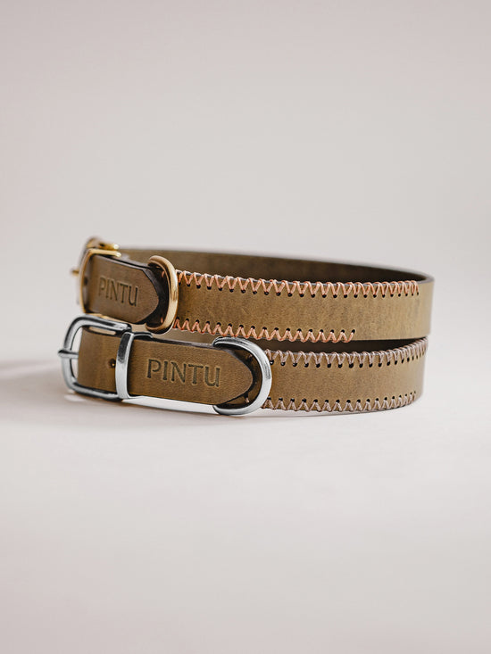 Pintu Dog Collar Porthos - Olive