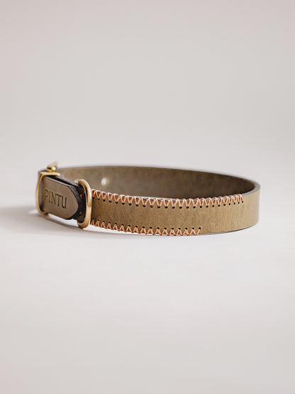 Pintu Dog Collar Porthos - Olive/Coral - Brass