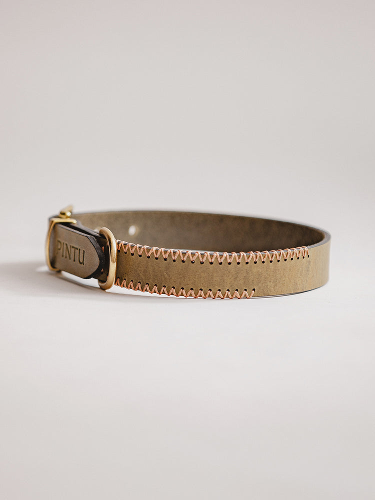 Pintu Dog Collar Porthos - Olive/Coral - Brass
