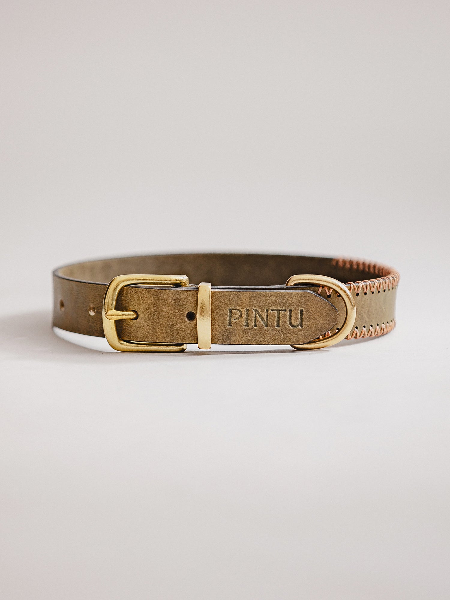 Pintu Dog Collar Porthos - Olive/Coral - Brass