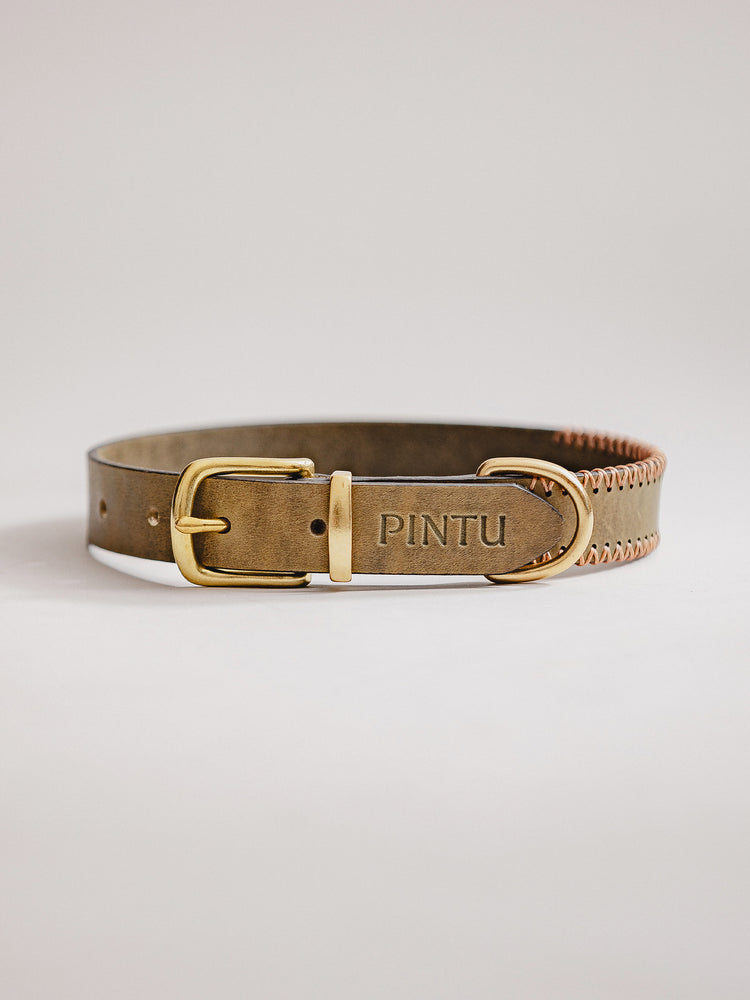 Pintu Dog Collar Porthos - Olive/Coral - Brass