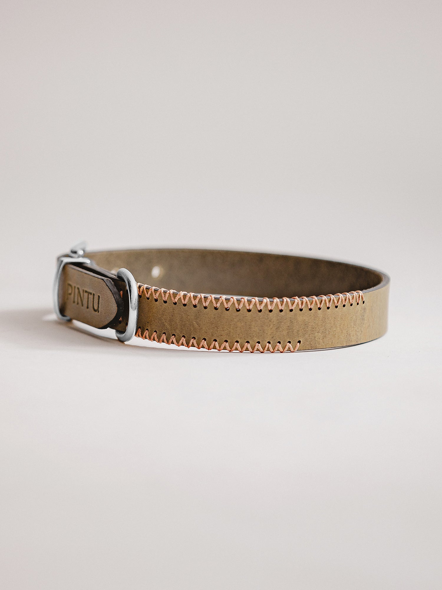 Pintu Dog Collar Porthos - Olive/Coral - Stainless Steel