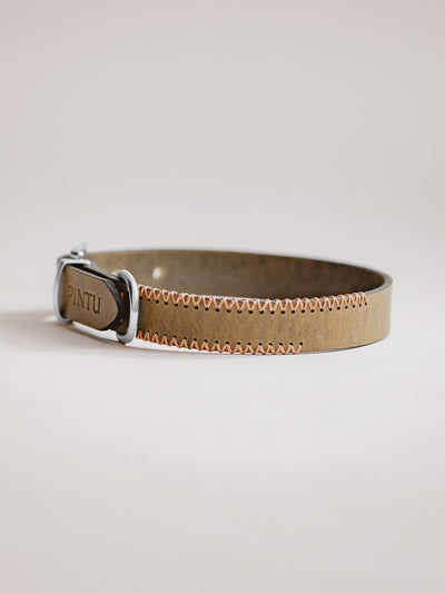 Pintu Dog Collar Porthos - Olive/Coral - Stainless Steel