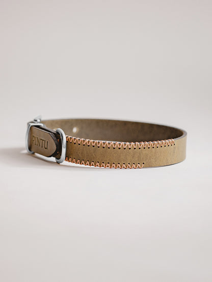 Pintu Dog Collar Porthos - Olive/Coral - Stainless Steel