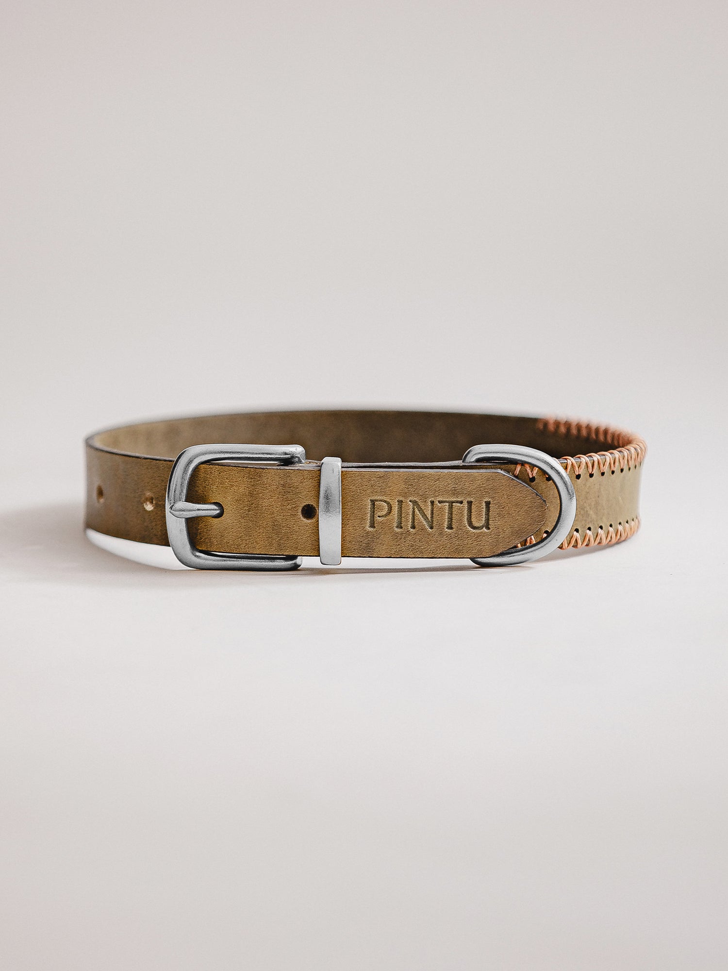 Pintu Dog Collar Porthos - Olive/Coral - Stainless Steel