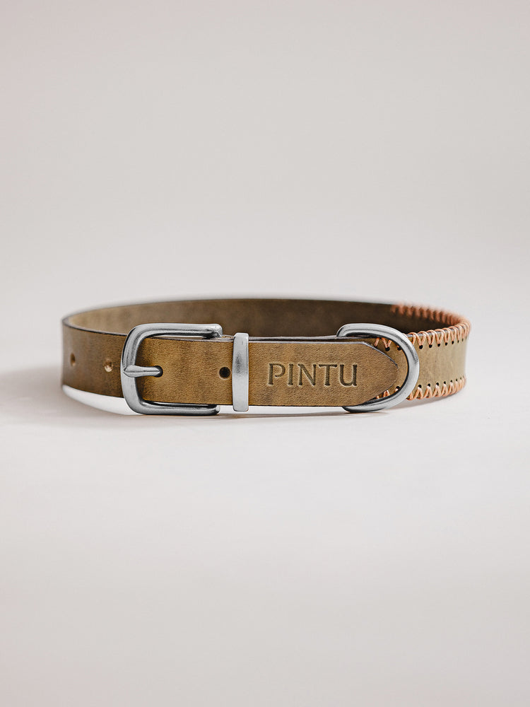 Pintu Dog Collar Porthos - Olive/Coral - Stainless Steel