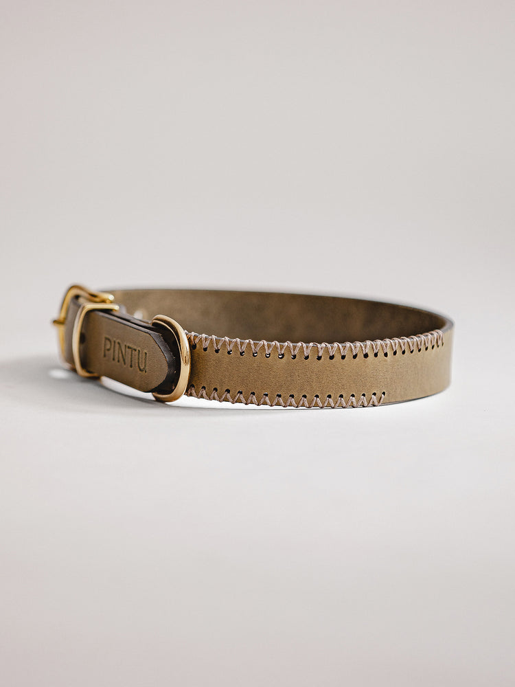 Pintu Dog Collar Porthos - Olive/Taupe - Brass