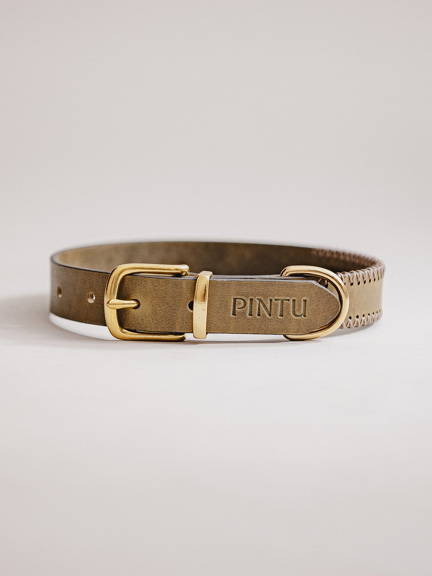 Pintu Dog Collar Porthos - Olive/Taupe - Brass