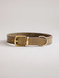Pintu Dog Collar Porthos - Olive/Taupe - Brass