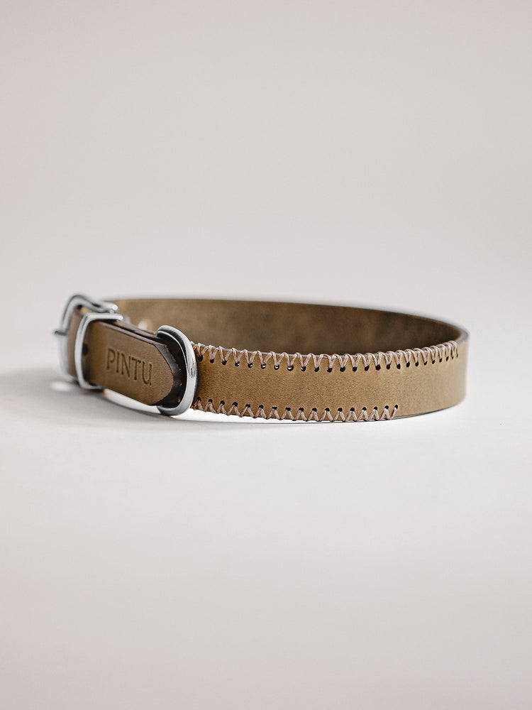 Pintu Dog Collar Porthos - Olive/Taupe - Stainless Steel
