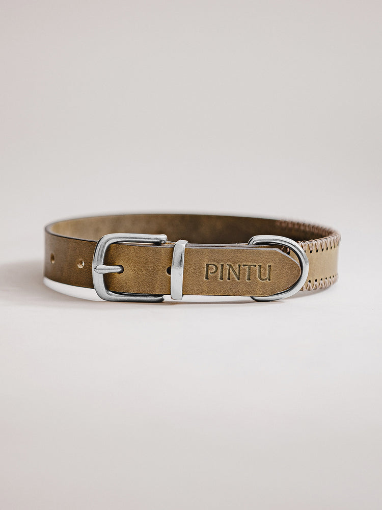 Pintu Dog Collar Porthos - Olive/Taupe - Stainless Steel