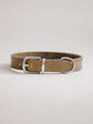 Pintu Dog Collar Porthos - Olive/Taupe - Stainless Steel