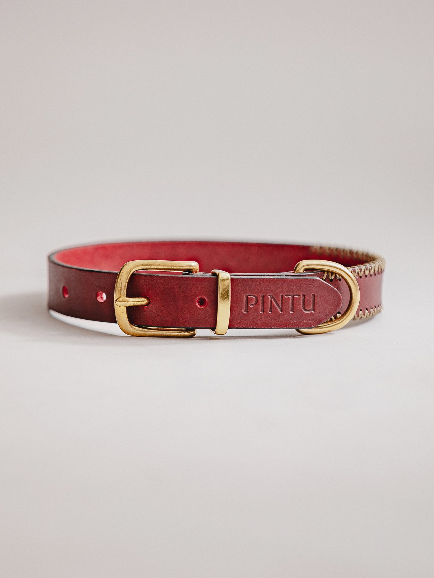 Pintu Dog Collar Porthos - Cherry/Gold - Brass