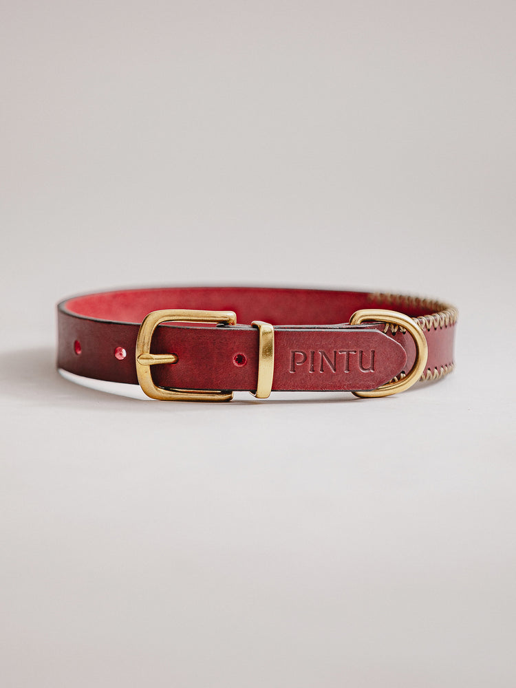 Pintu Dog Collar Porthos - Cherry/Gold - Brass