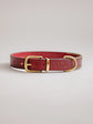 Pintu Dog Collar Porthos - Cherry/Gold - Brass