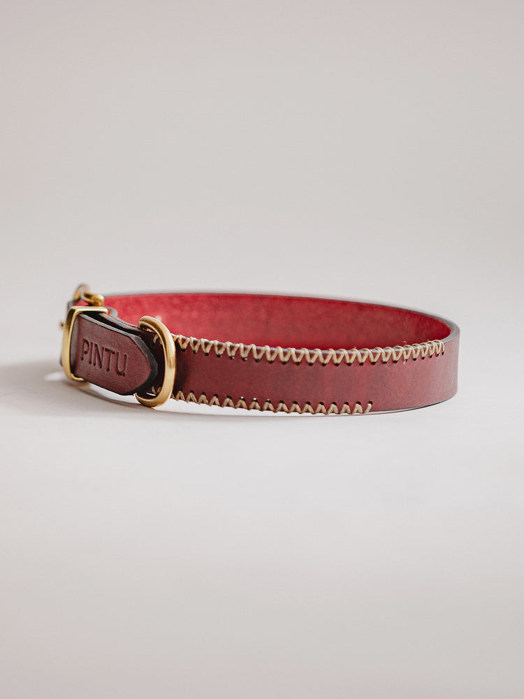 Pintu Dog Collar Porthos - Cherry/Gold - Brass