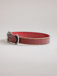 Pintu Dog Collar Porthos - Cherry/Gold - Stainless Steel