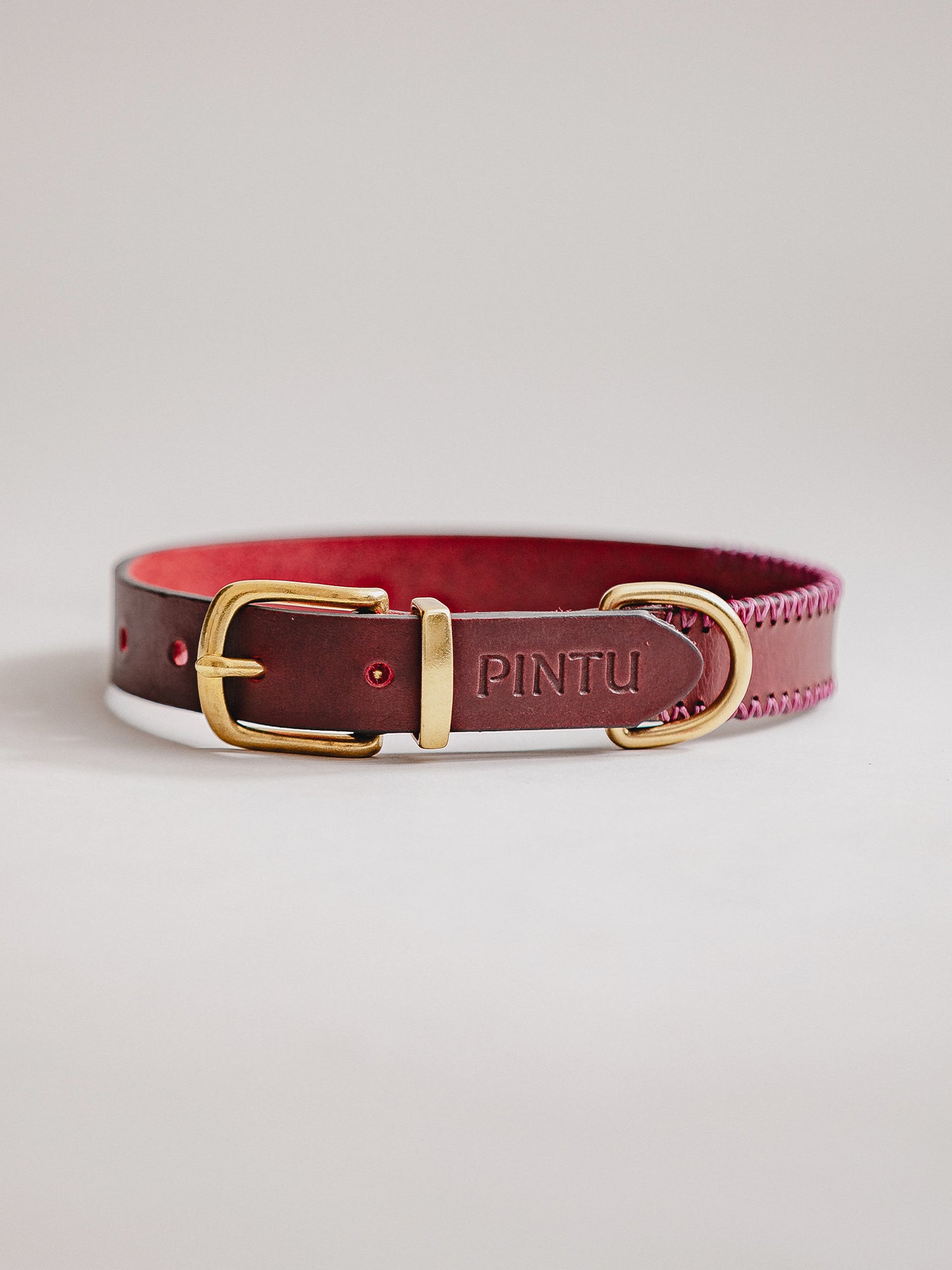 Pintu Dog Collar Porthos - Cherry/Pink - Brass