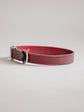 Pintu Dog Collar Porthos - Cherry/Pink - Stainless Steel