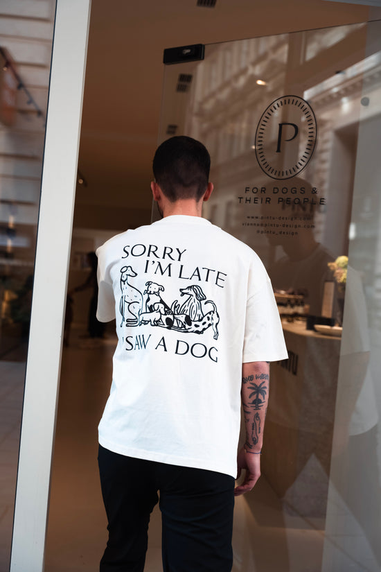 Pintu Sorry I&