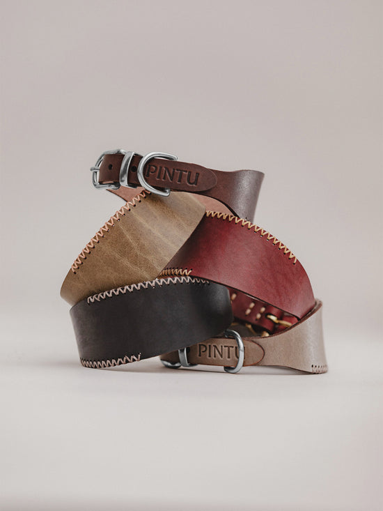 Dog Collar Viento
