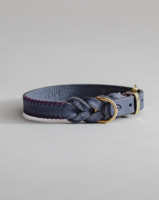 Dog Collar Atlas - Navy/Purple - Pintu