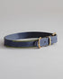 Dog Collar Porthos - Navy/Green - Archive - Pintu