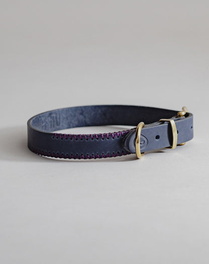DogCollar Porthos - Navy/Purple - Archive - Pintu