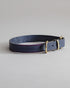 DogCollar Porthos - Navy/Purple - Archive - Pintu