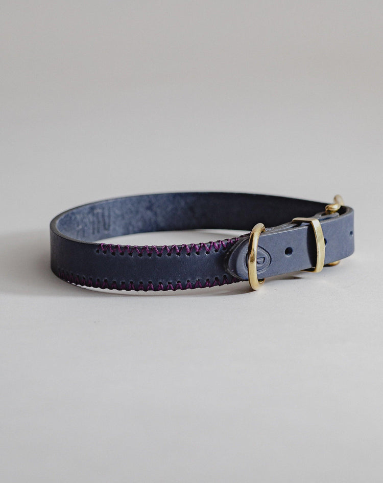 DogCollar Porthos - Navy/Purple - Archive - Pintu