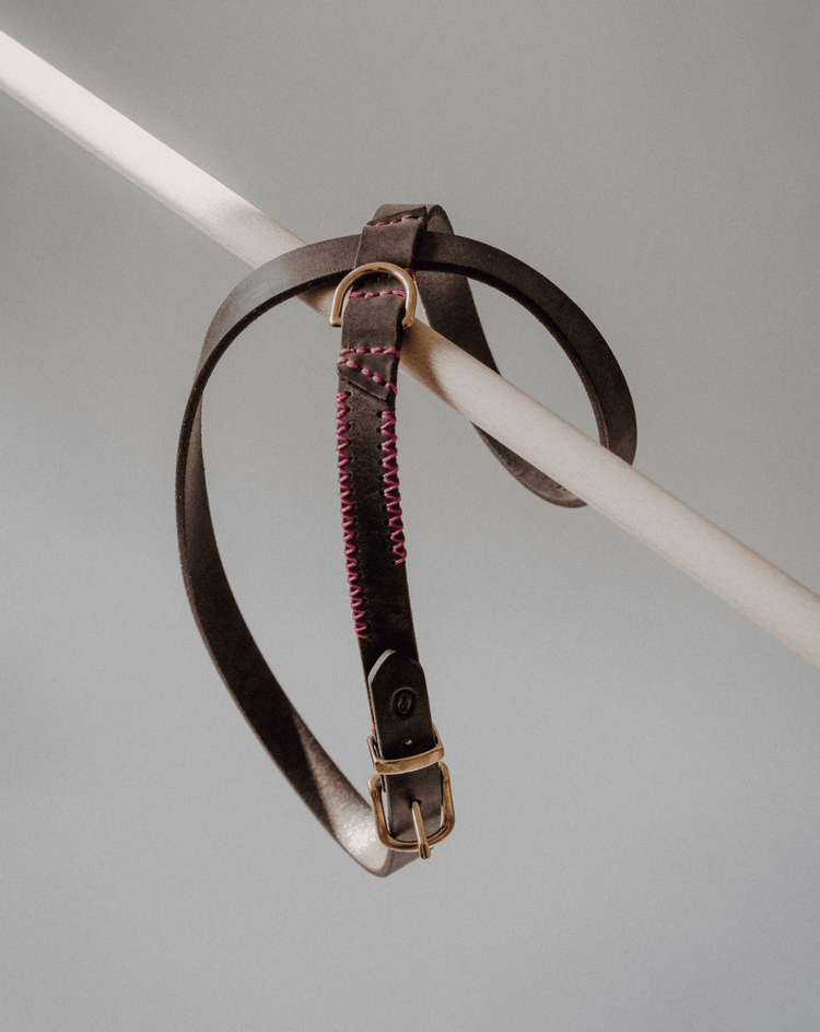 Dog Harness Flynn - Chocolate/Pink - Archive - Pintu