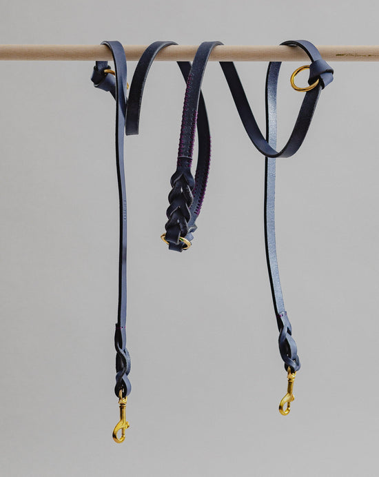Dog Leash Lumas Adjustable - Navy/Purple - Pintu