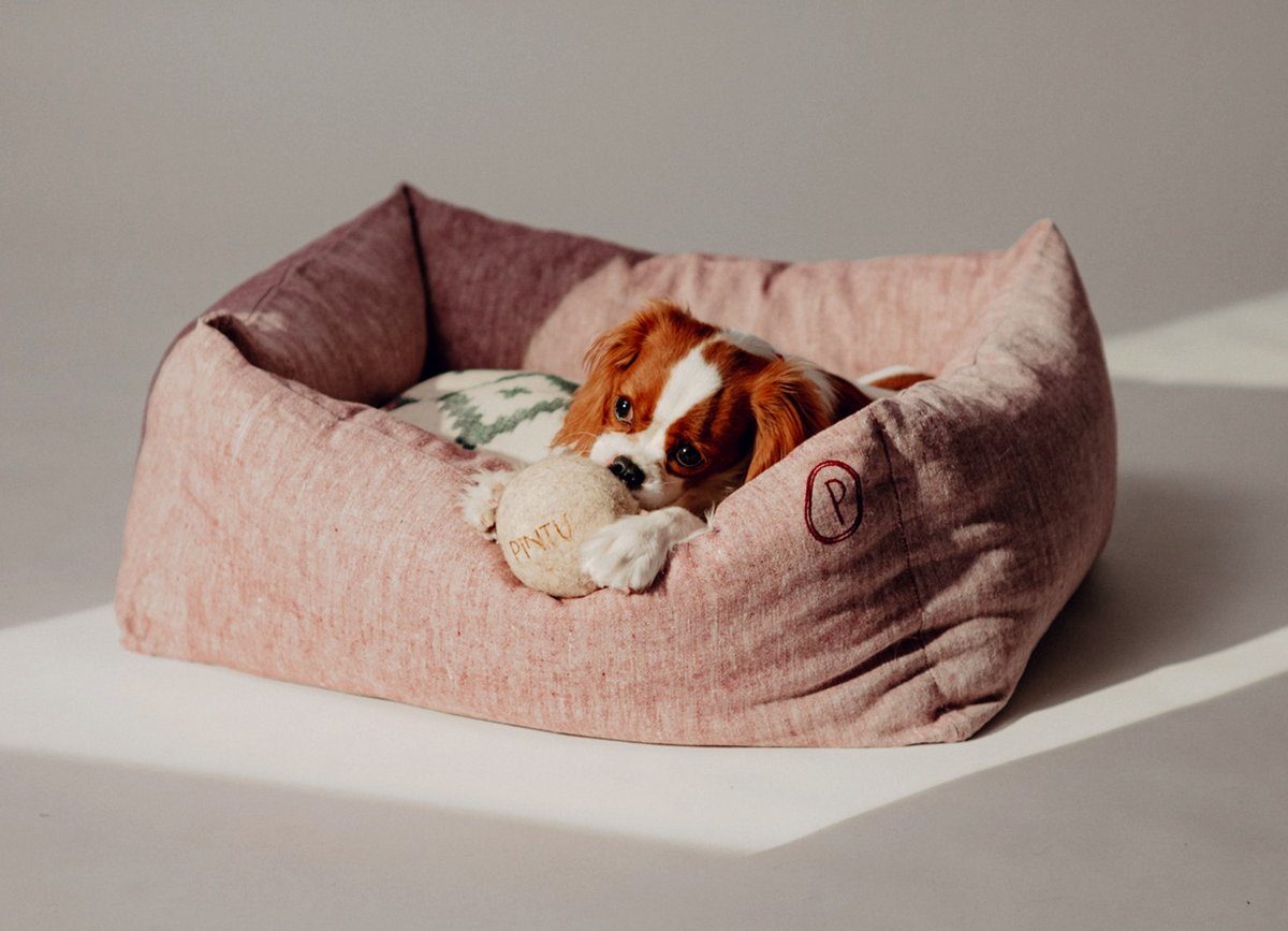 Dulces Sueños Dog Bed - Grapefruit - Pintu