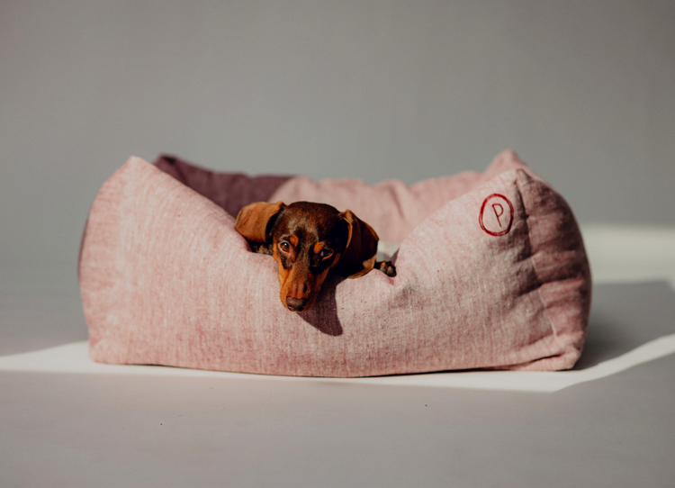 Dulces Sueños Dog Bed - Grapefruit - Pintu