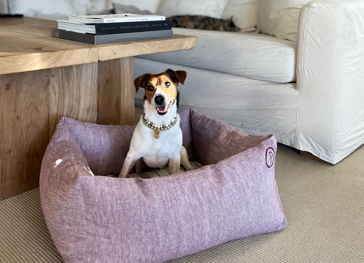 Dulces Sueños Dog Bed - Grapefruit - Pintu