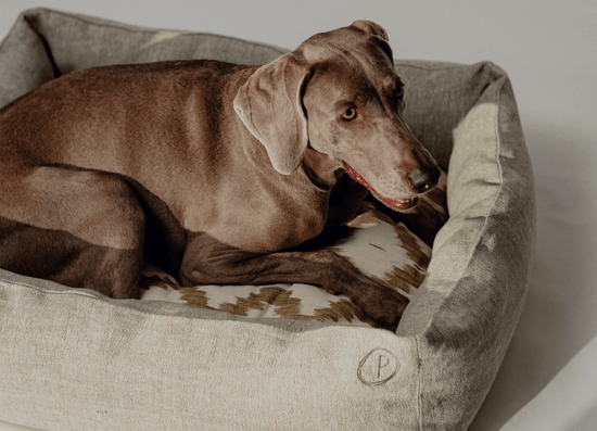 Dulces Sueños Dog Bed - Pistachio - Pintu